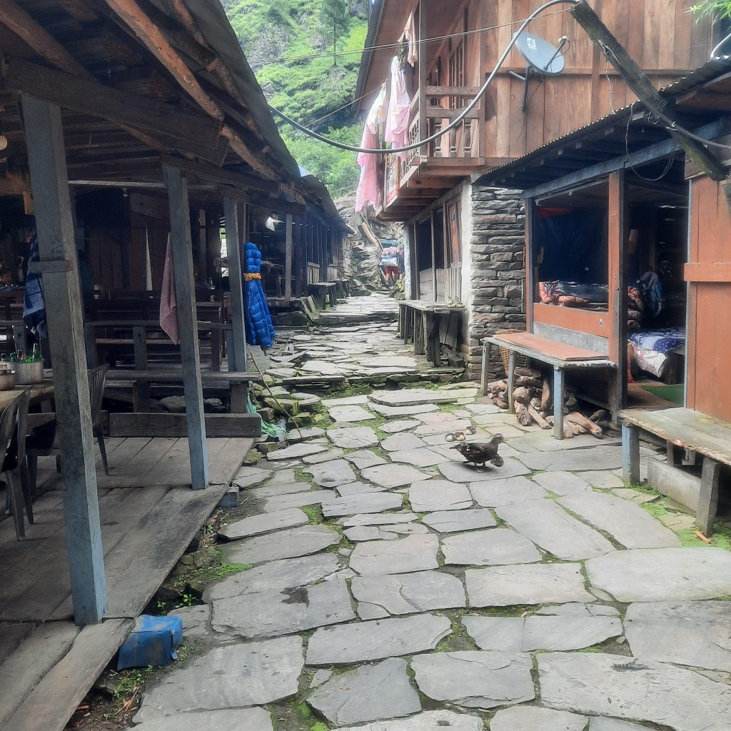 005860F3-D95B-4A58-9613-FA7746BDB5D1