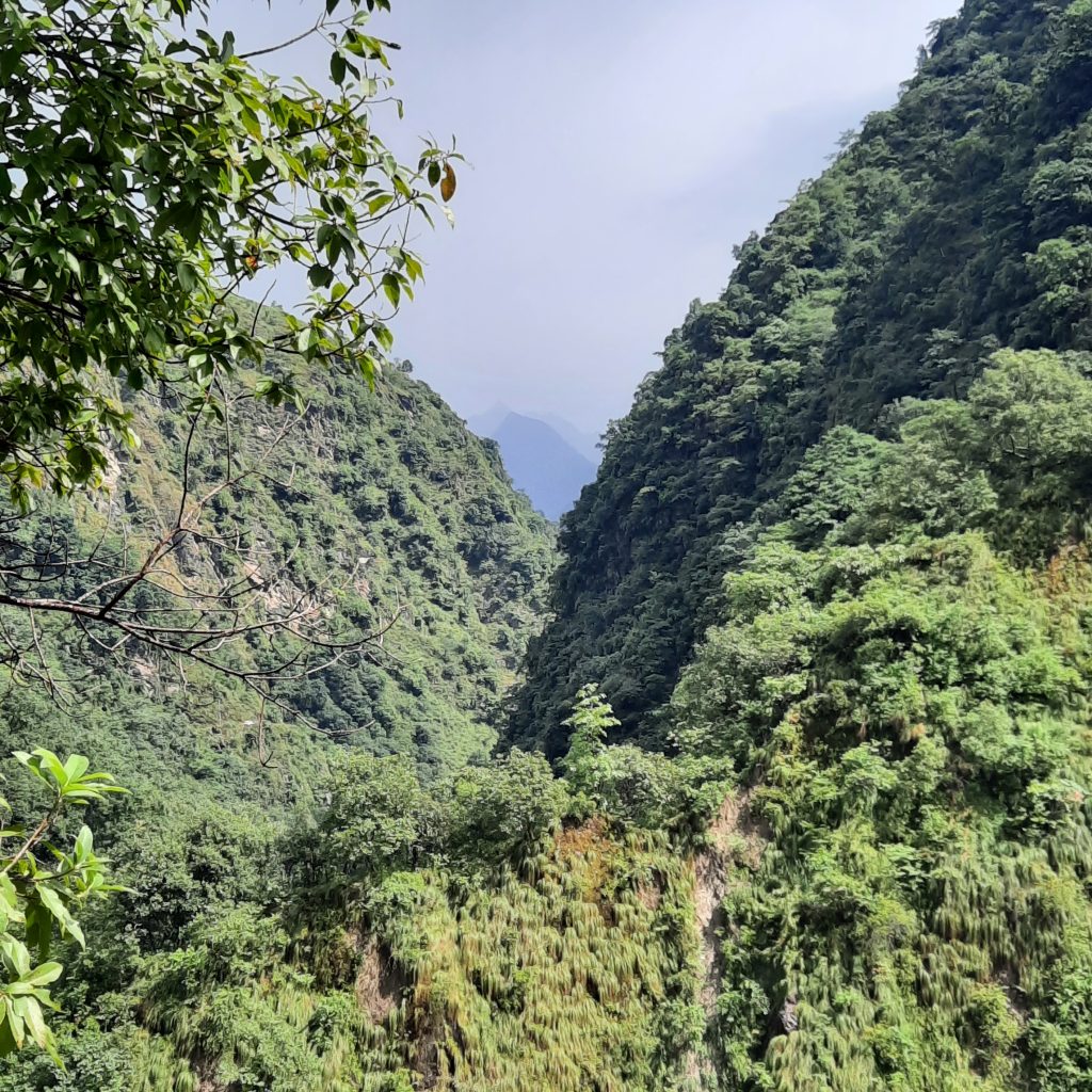 1170BDD6-058D-491B-8E6E-07812066E4B2