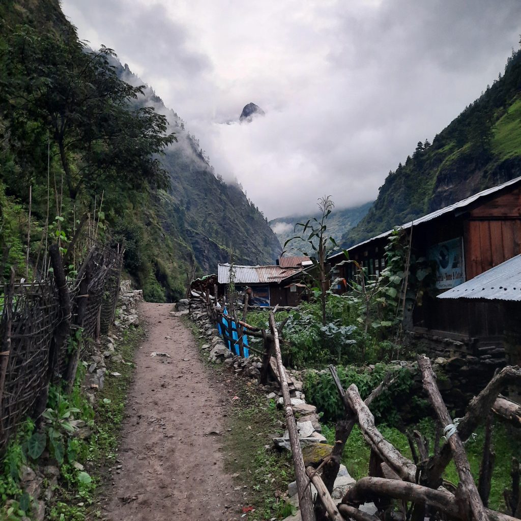 Auf dem Weg zum ShangriLa Home