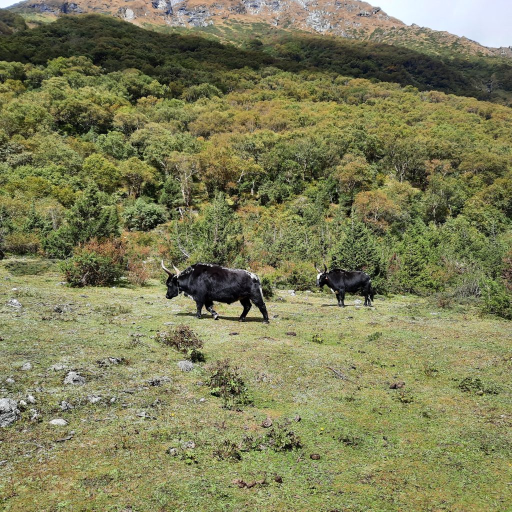 462C4CAC-CE41-465D-9BB7-39F49292B919