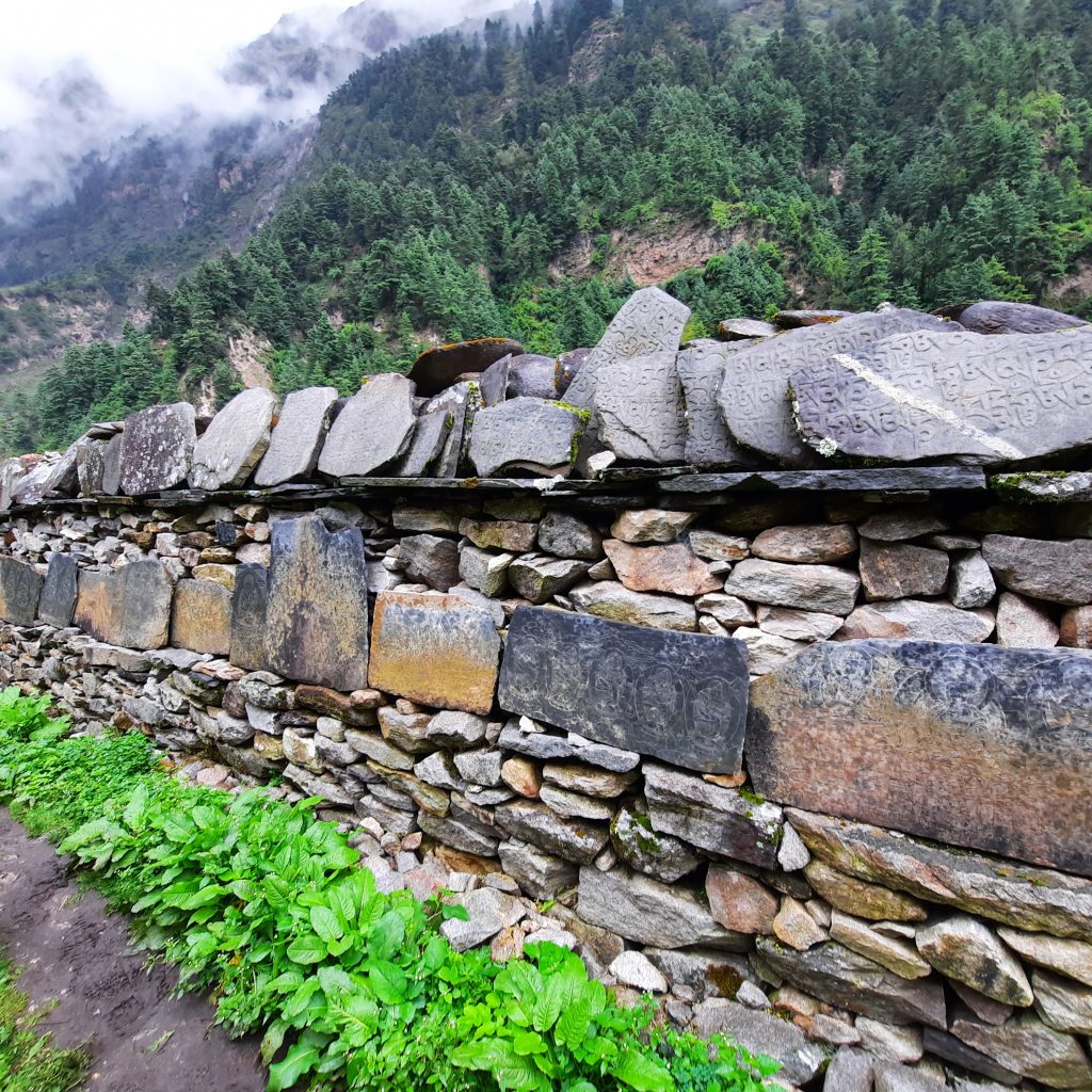 64CA1ED9-1CF2-4556-8EBE-87A2657CE153