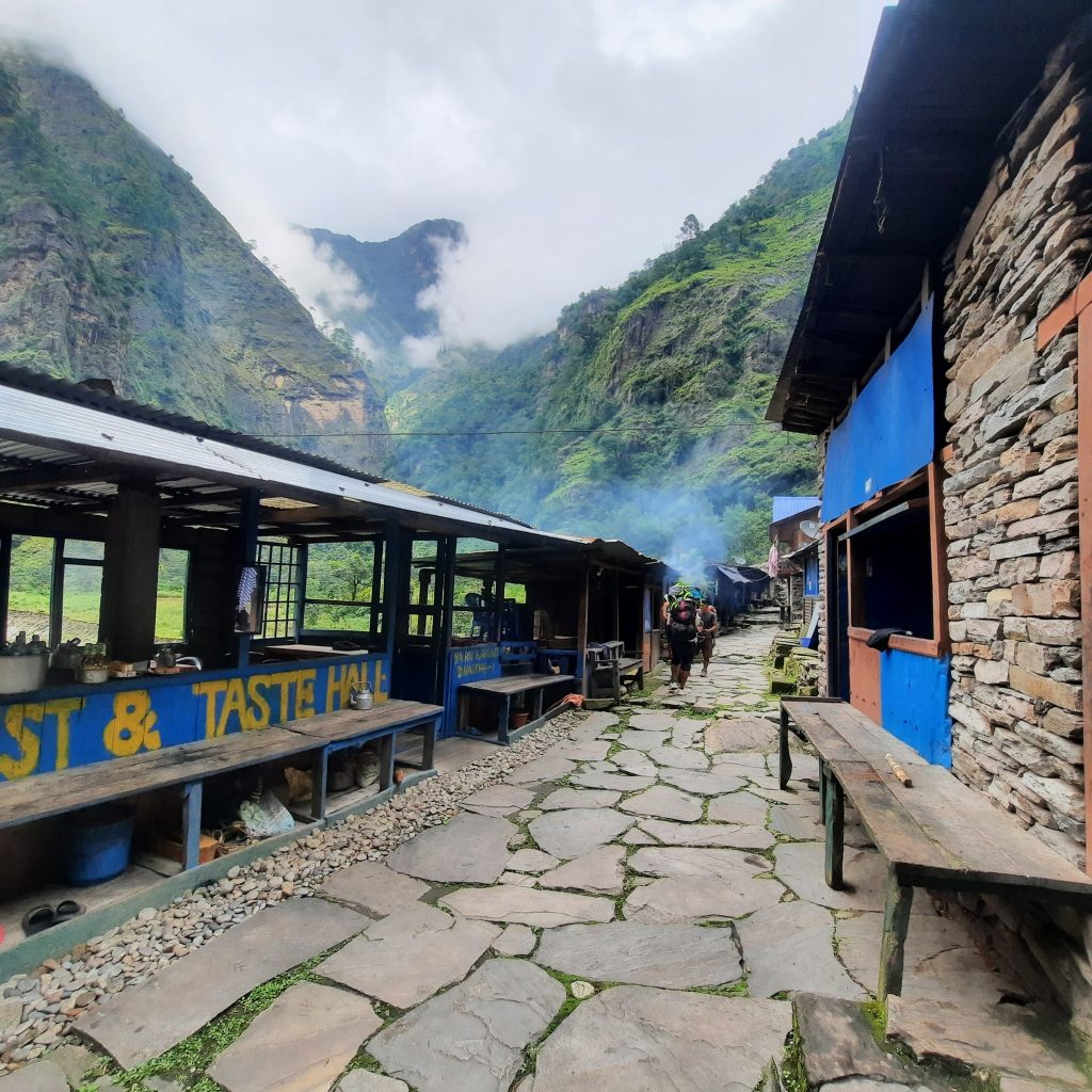 7F9B02C3-E3D2-4943-B415-88B1DB3BA29C