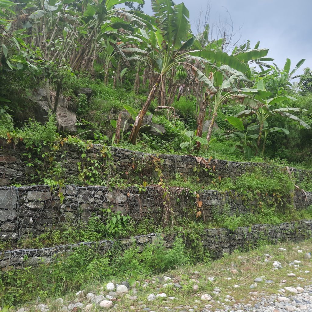 86433692-2E79-4E29-8B59-43DB979D3D06