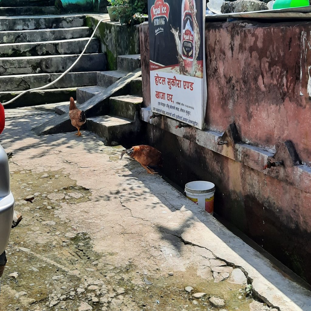 912C158A-8898-4591-81DF-C3933D3B9256