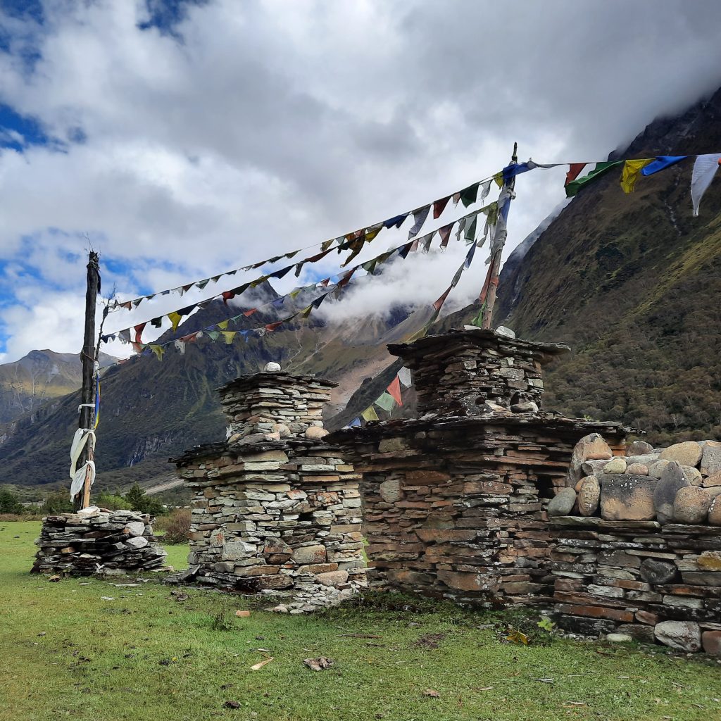 B77E39F3-6B4B-4D18-B31B-B95DA57E0DA8