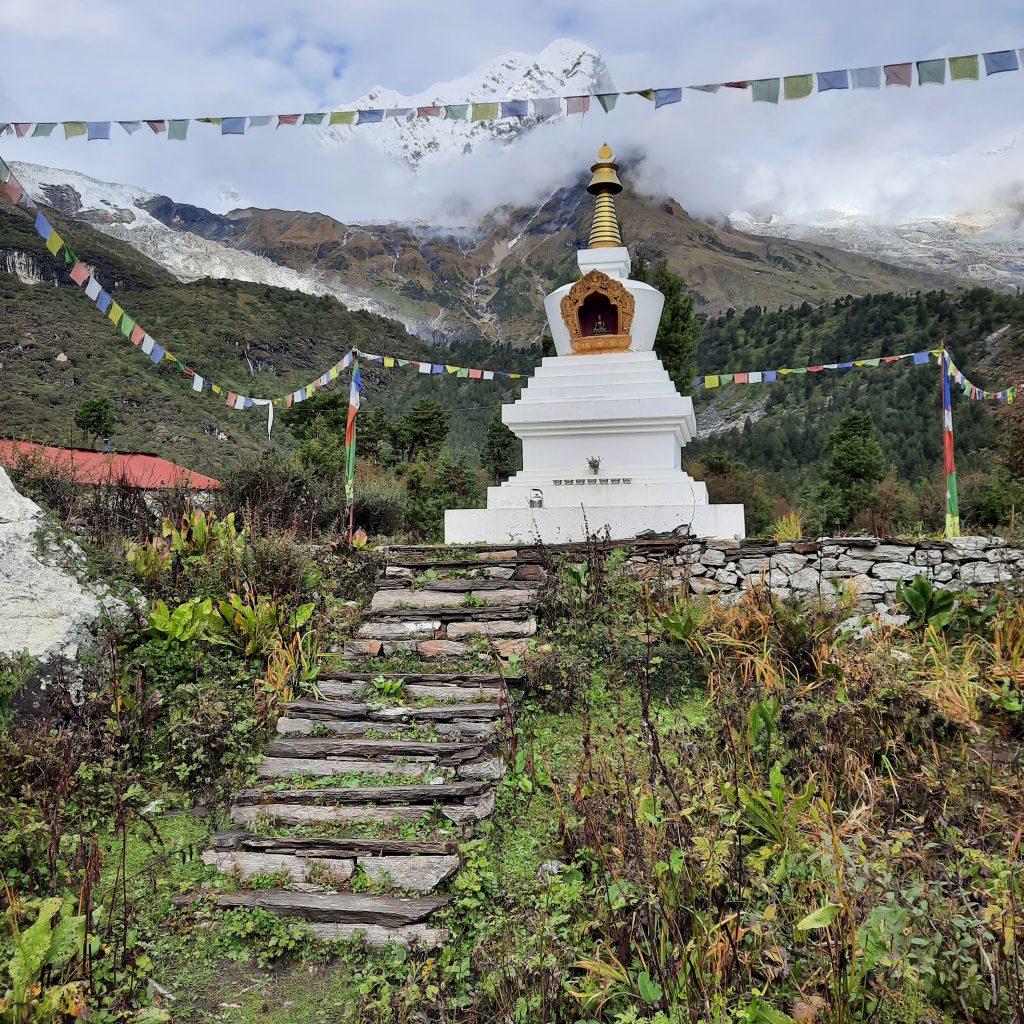 C3D58784-1321-4E6E-A175-A71159884293