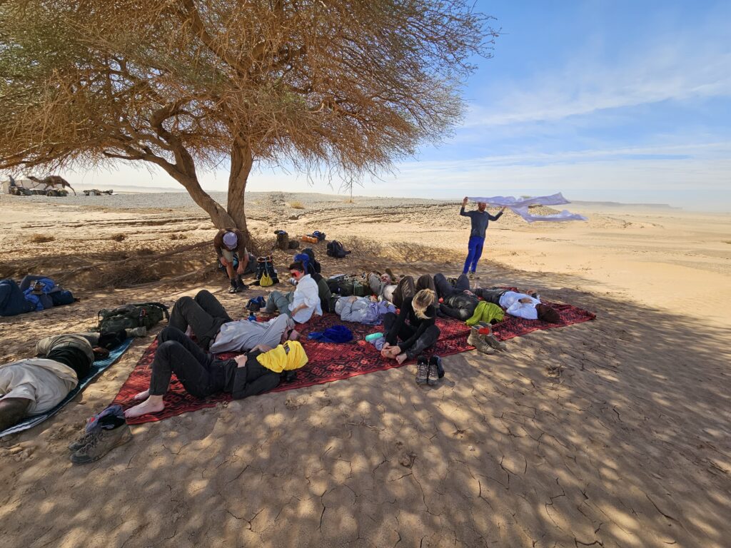 Sahara - Wüstentour Teppich