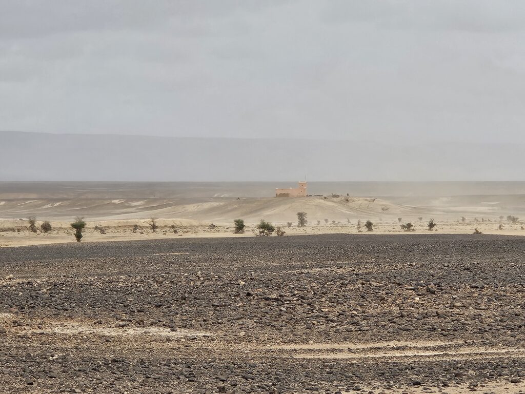 Sahara - Wüstentour mit Weitblick