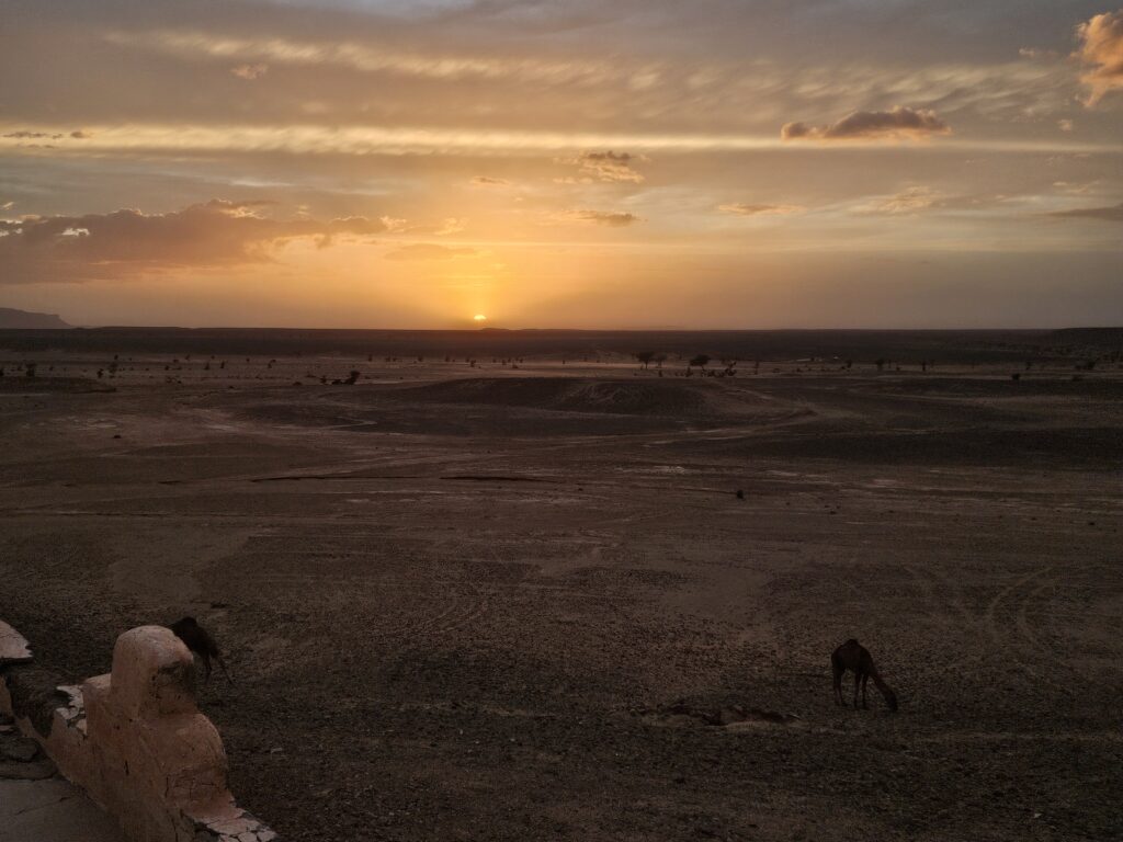 Sahara Trekkingtour - Sonnenuntergang