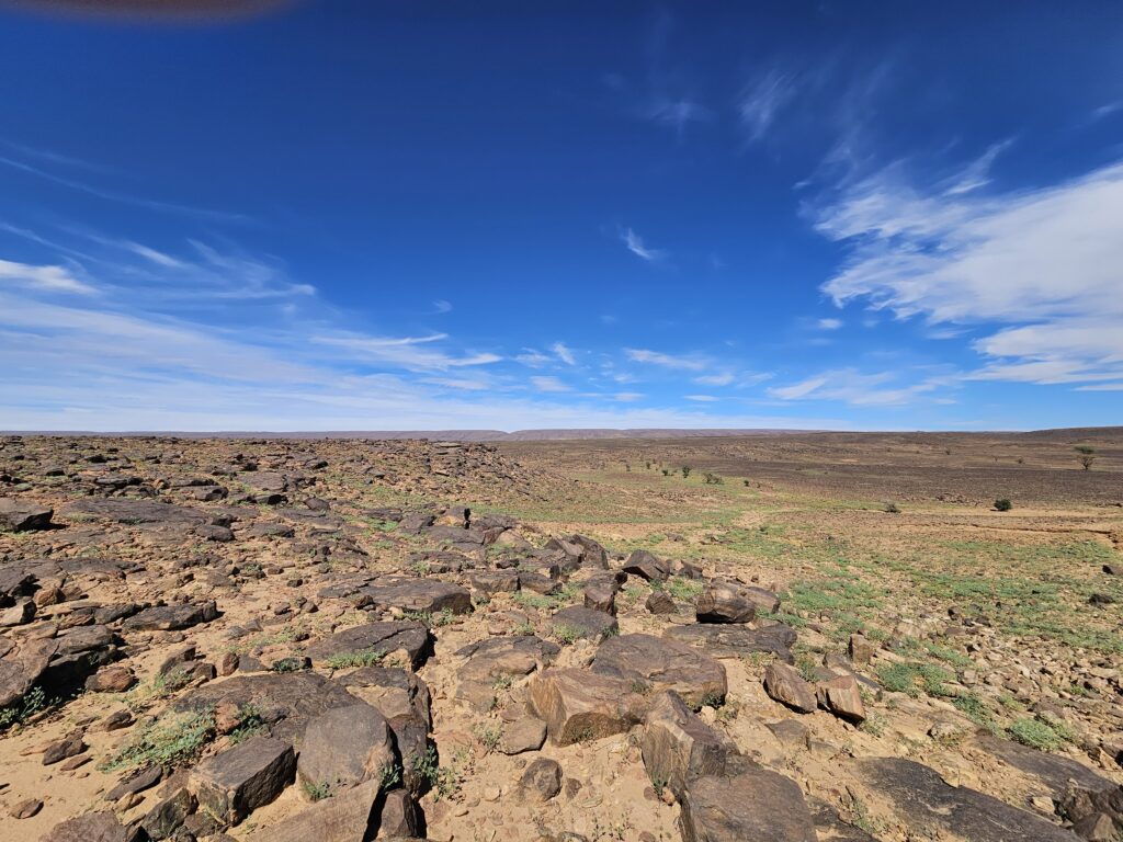 Sahara Tour - Steine