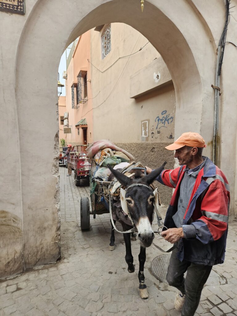 Marrekesch - Medina mit Eseltransport