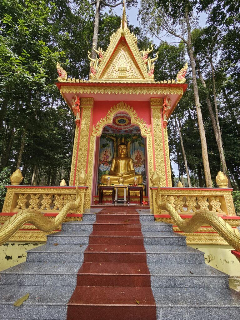 Mekong Delta - Buddha