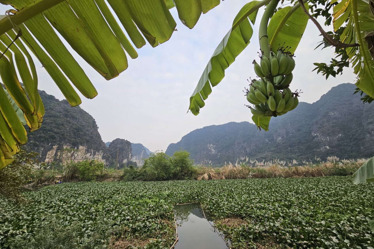 Ninh Binh Region - Felsen, Felder und Wasser