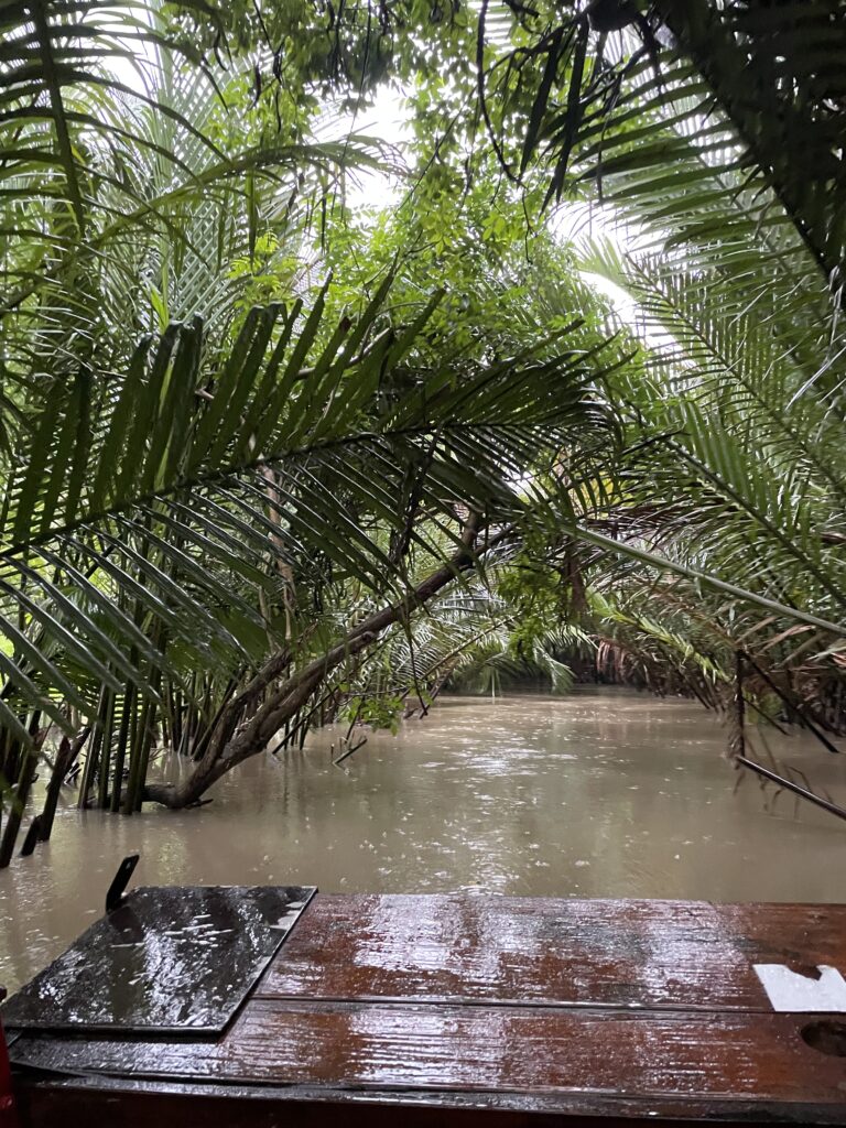 Mekong Delta - On a boat