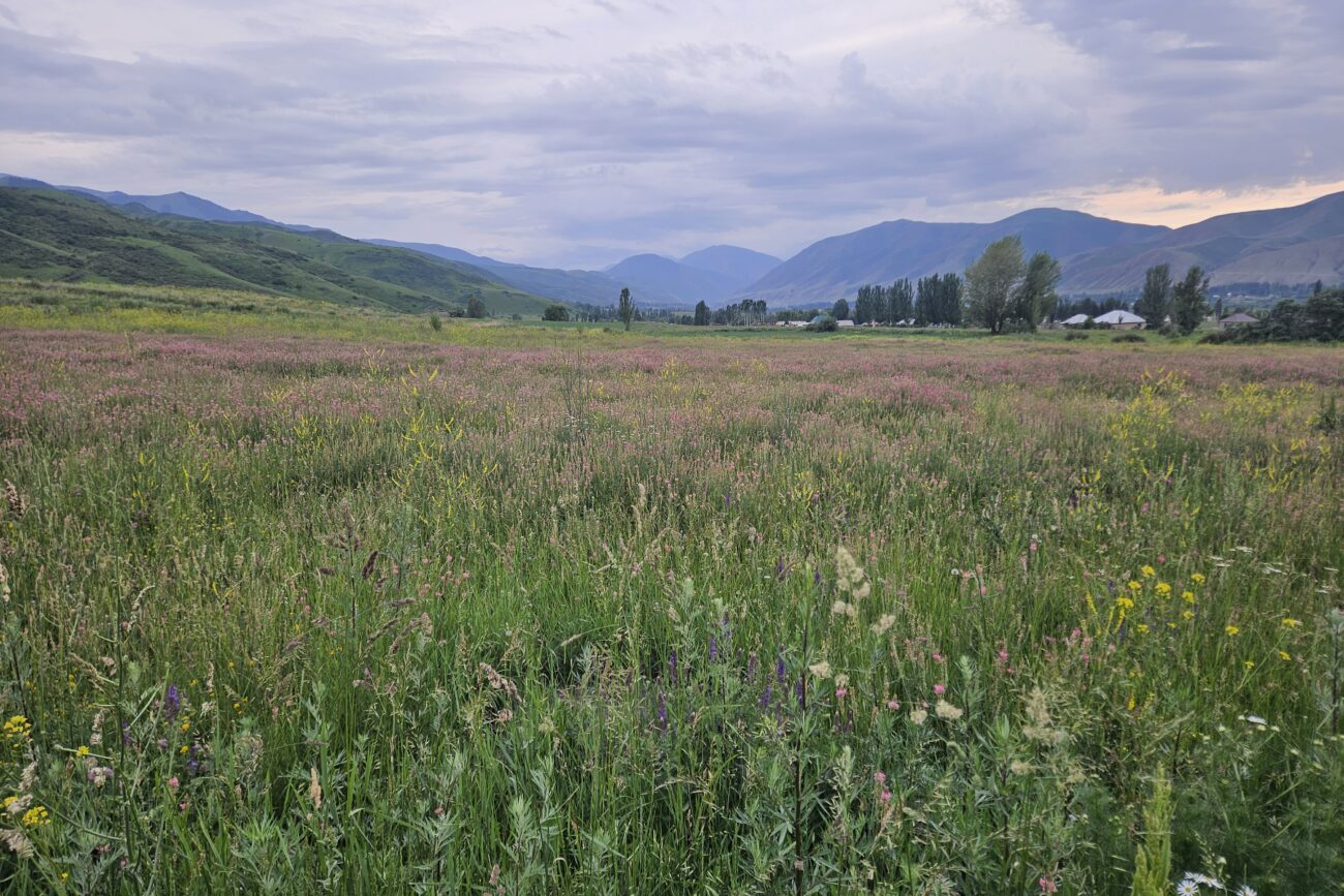 Kirgisistan - Chon Kemin