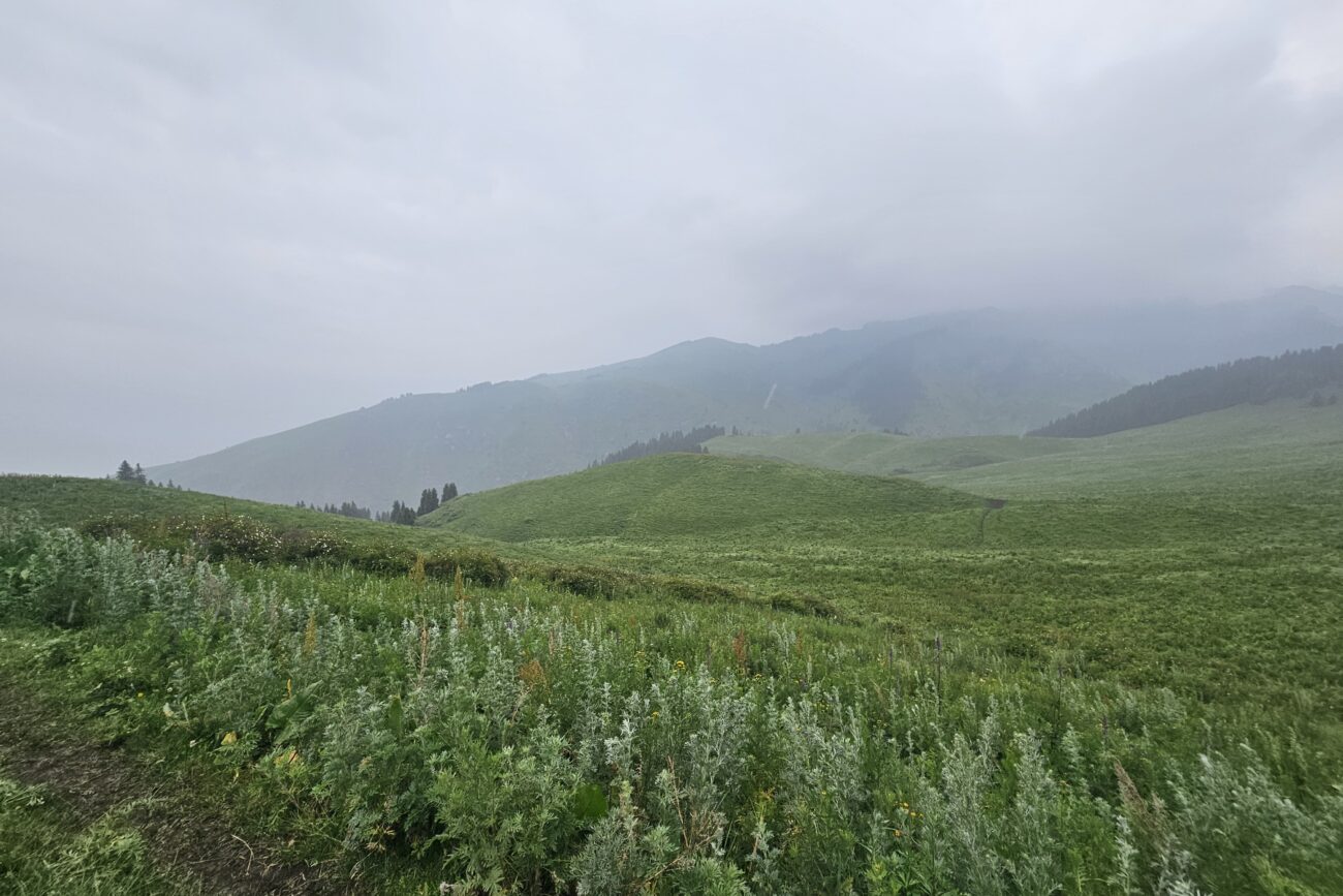 Chon-Kemin - Im Regen