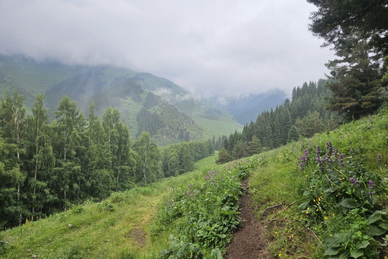 Chon-Kemin - Nationalpark