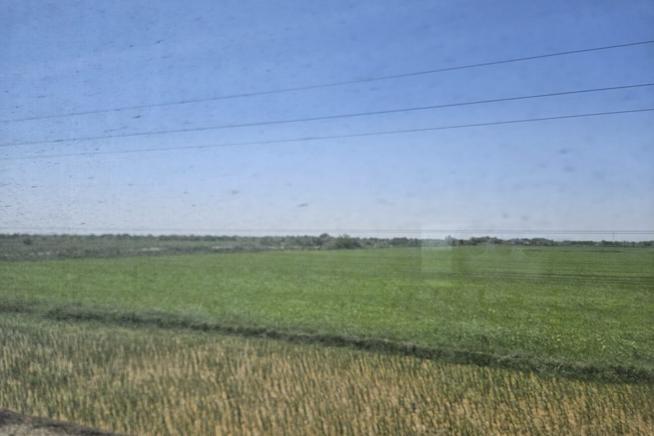 Usbekistan - Reisfelder