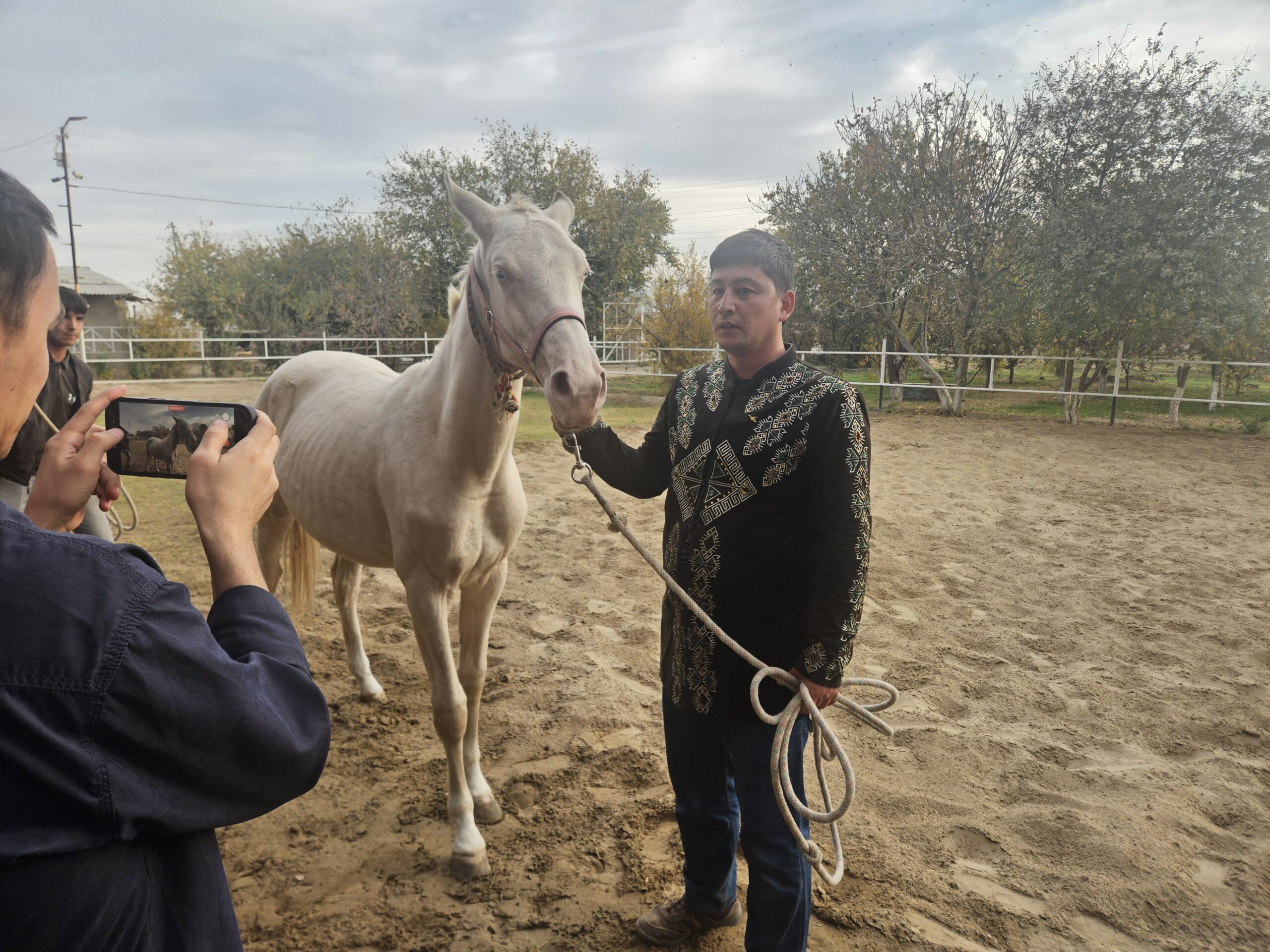 Turkmenistan - Pferde